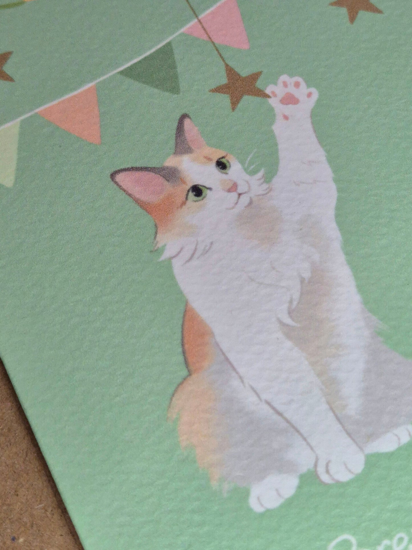 Lá Breithe Sona Duit - Cat