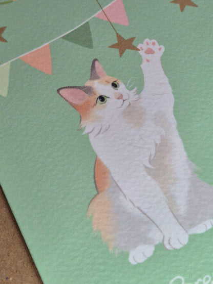 Lá Breithe Sona Duit - Cat