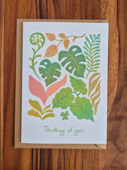 Thinking of You Plants