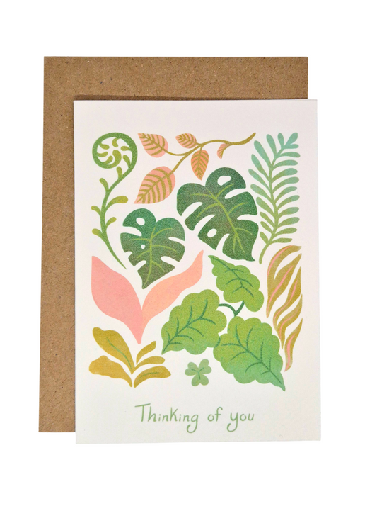 Thinking of You Plants