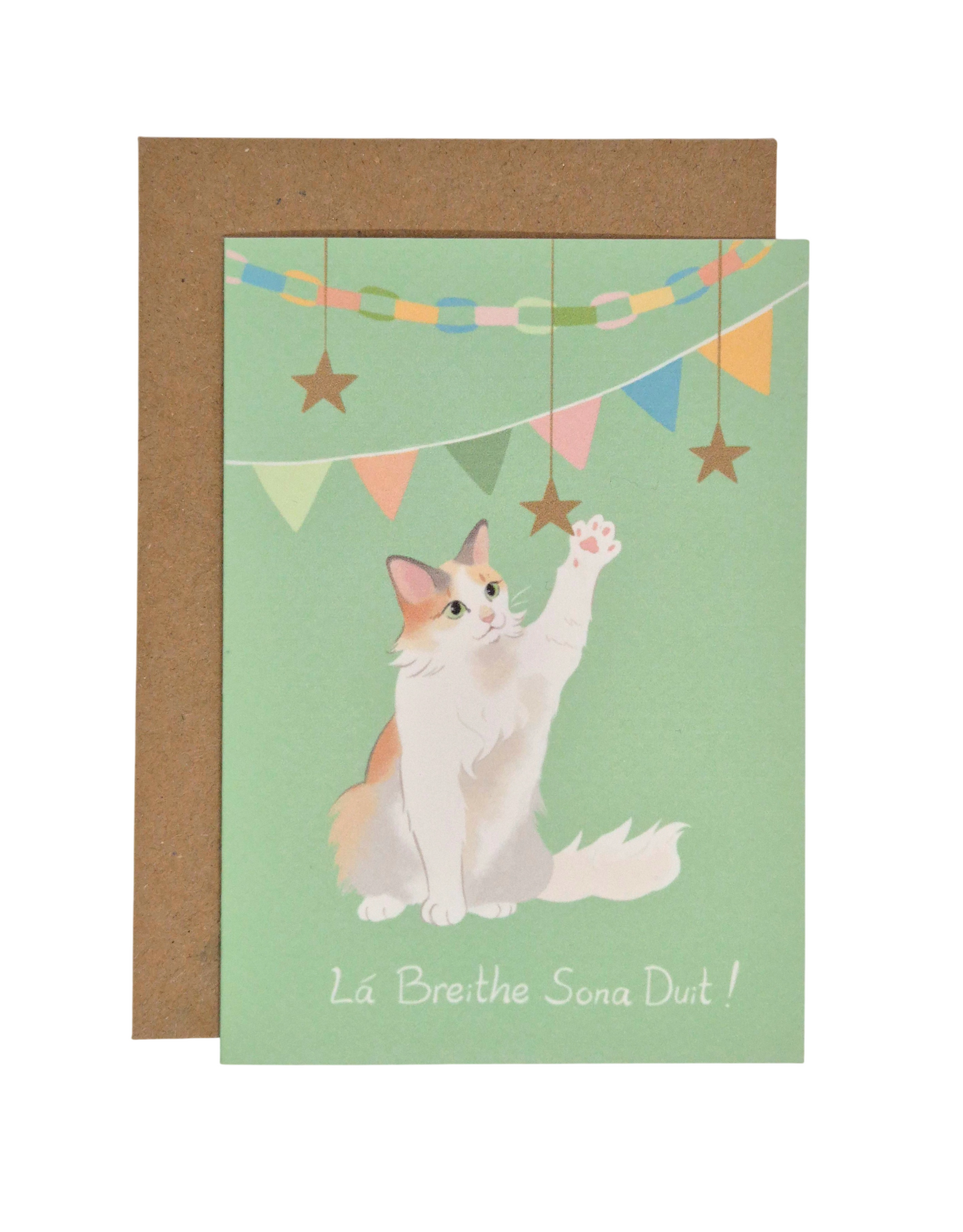 Lá Breithe Sona Duit - Cat